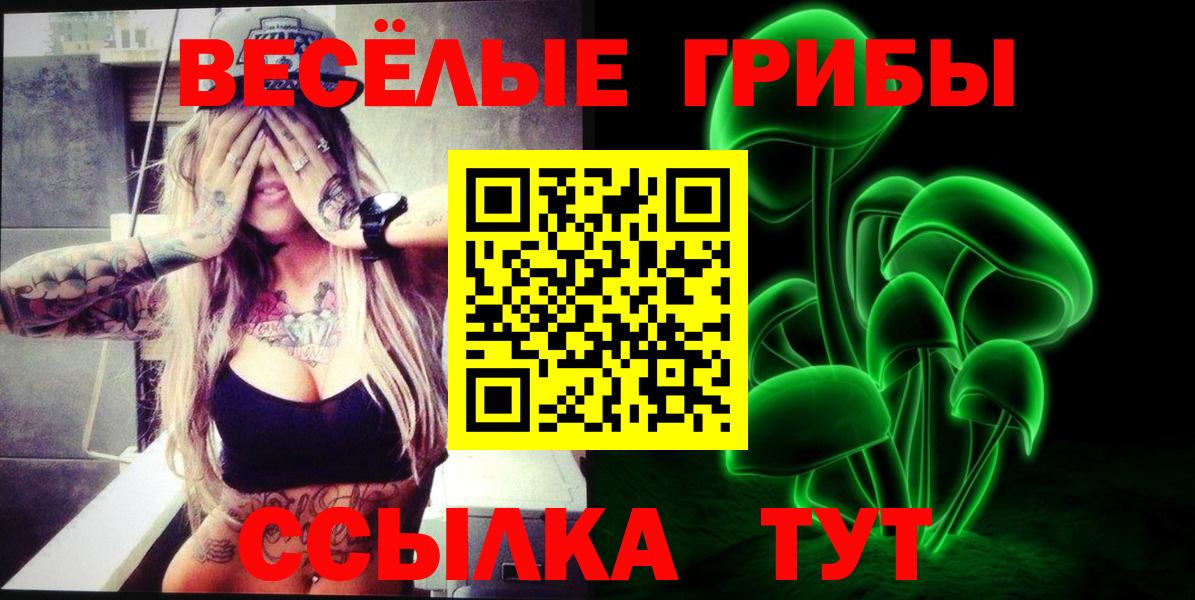 Псилоцибиновые грибы мухоморы Калининград