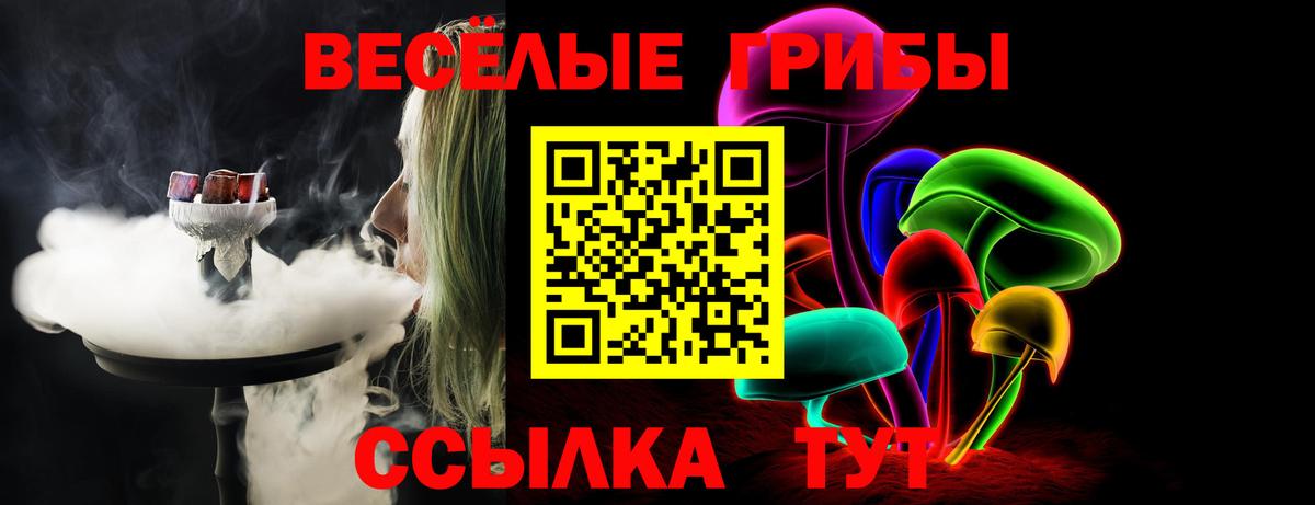 купить наркотики сайты  Вход с VPN  Псилоцибиновые грибы Psilocybine cubensis  Калининград  Галлюциногенные грибы ЛСД 